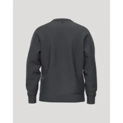 Borg Essential 4 Sweatshirt, Asphalt