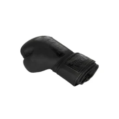 Kodiak Boxing Gloves, Black, 10 oz