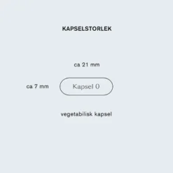 Lions mane 60 vegetabiliska kapslar