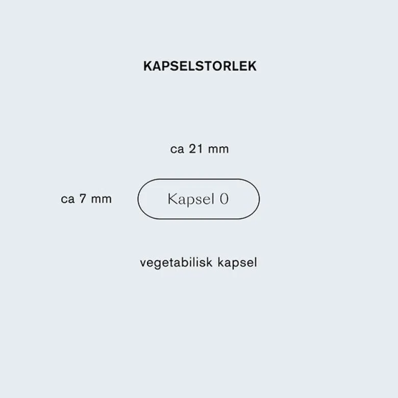 Lions mane 60 vegetabiliska kapslar