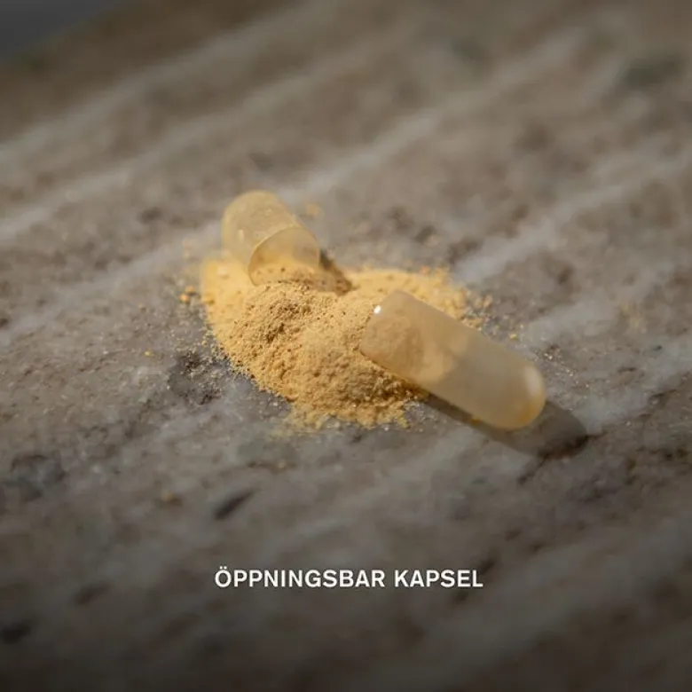 Lions mane 60 vegetabiliska kapslar