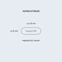 L-lysin 500 mg 90 vegetabilske kapsler