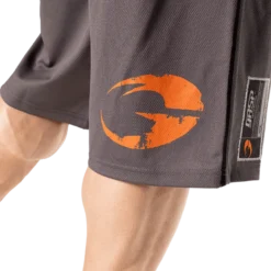 Pro Mesh Shorts, Grey