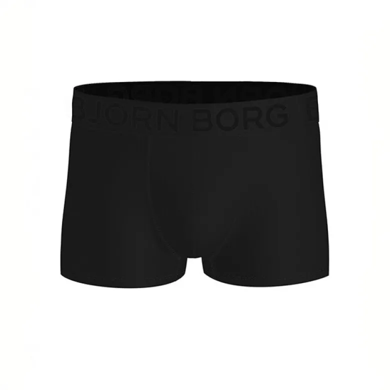 Sports Mesh Trunk 2p